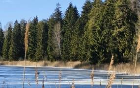 EKSKURSIJA-ŽYGIS „ŠVITINAM NUO PAŠVINIO“