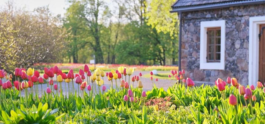 BURBIŠKIO DVARO FESTIVALYJE – MILIJONAI TULPIŲ, ĮSPŪDINGAS KONCERTAS IR DVARIŠKOS PRAMOGOS