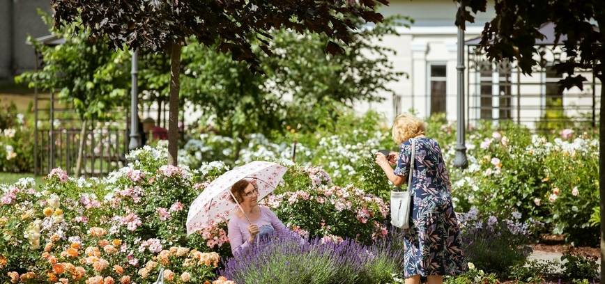 ŠIAULIŲ „BUCKET LIST‘AS“