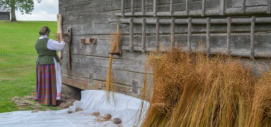 KLEBONIŠKIŲ KAIMAS ATGYJA – PRASIDEDA SENŲJŲ AMATŲ IR EDUKACIJŲ DIENOS