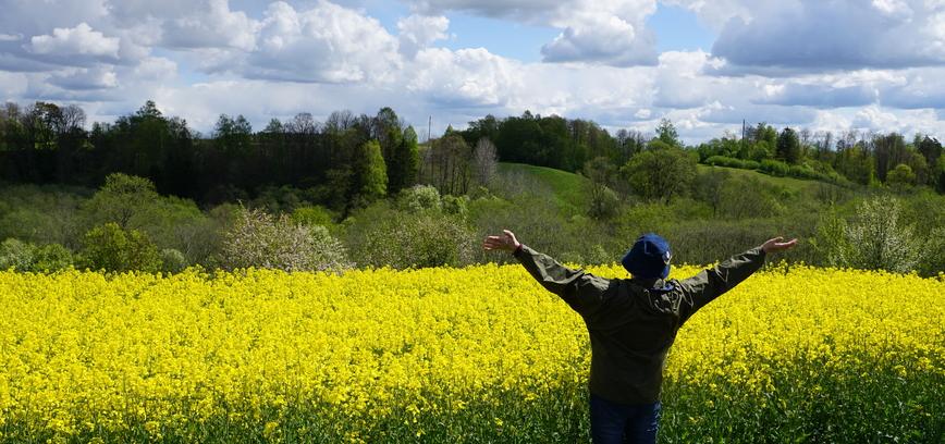 KUR LIETUVOJE DRIEKIASI KRYŽIŲ KELIAS ARBA KRYŽDIRBYSTĖS TRADICIJA ŠIAURĖS LIETUVOJE