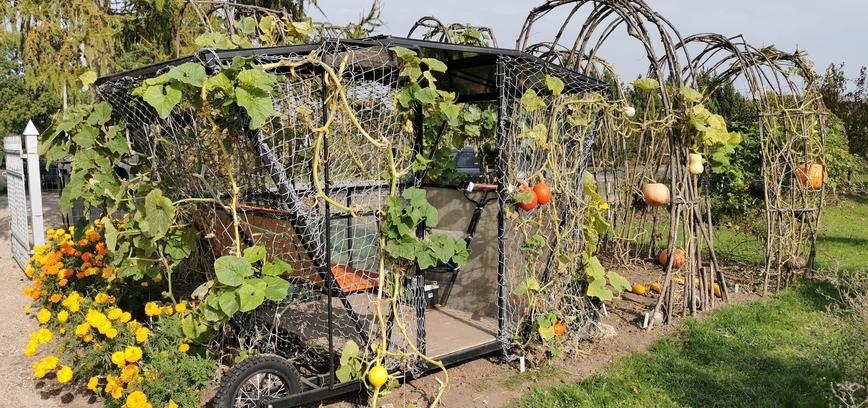 MOLIŪGINĖS KARIETOS NE TIK PASAKOSE – ŠIAULIŲ UNIVERSITETO BOTANIKOS SODE AKĮ TRAUKIA NEĮPRASTA KARIETA