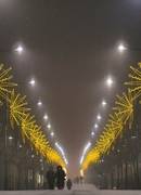 NUO ŠIAULIŲ IKI AMERIKOS: DIANOS ISTORIJA APIE DRĄSĄ, DARBĄ IR SAVO KELIĄ