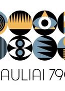  790 METŲ ŠVIESOS: ŠIAULIŲ JUBILIEJINIŲ METŲ ATIDARYMAS