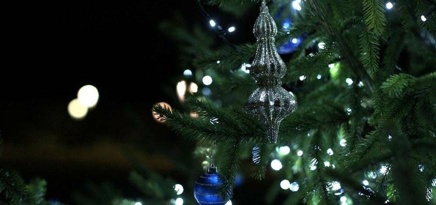 Kalėdų eglutės įžiebimas Chaimo Frenkelio viloje-muziejuje