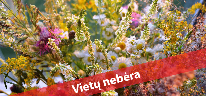  Vėlyvos vasaros žolynų dirbtuvės 