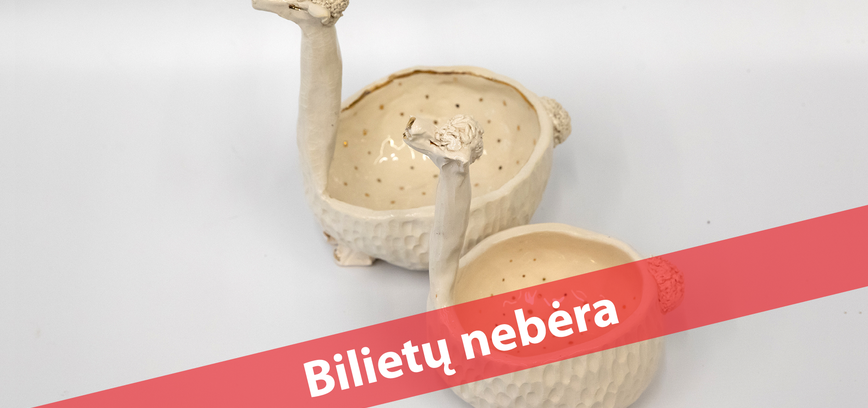  Edukacija suaugusiesiems „Saldaininė“ 