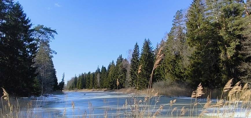 EKSKURSIJA-ŽYGIS „ŠVITINAM NUO PAŠVINIO“
