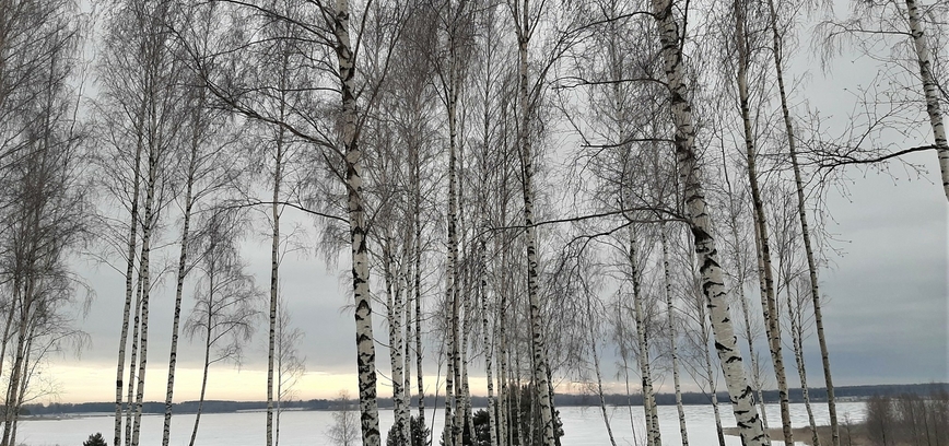 REZERVACIJA BAIGTA (EKSKURSIJA „APLINK GUDELIŲ EŽERĄ“)