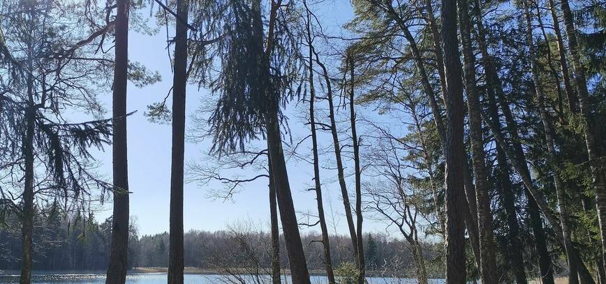 EKSKURSIJA-ŽYGIS „NUO BIJOTĖS IKI DUBYSOS“