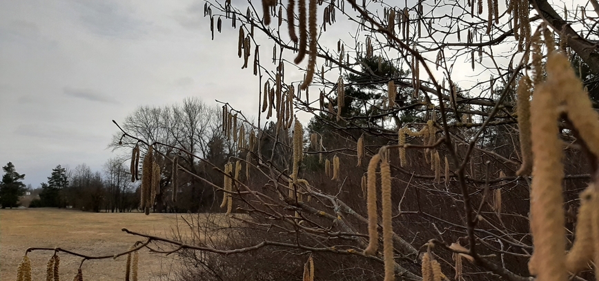 EKSKURSIJA-ŽYGIS ŠEIMAI „ŠIAPUS IR ANAPUS EŽERO“