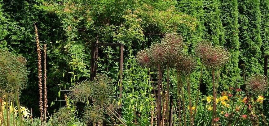 EKSKURSIJA „ŽYDINČIOS BOTANIKOS SODO ISTORIJOS“