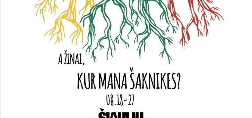 ŠIAULIŲ NAKTYS. AR ŽINAI, KUR MANA ŠAKNIKES?