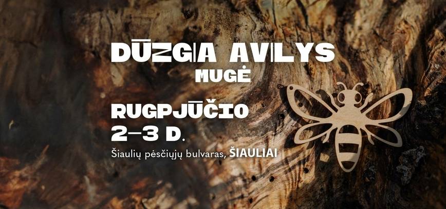 MUGĖ DŪZGIA AVILYS