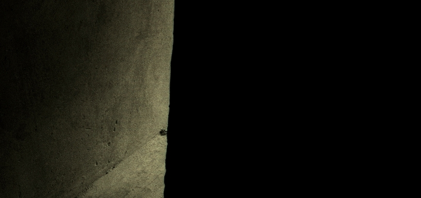 Aleksandro Ostašenkovo parodos „Kelias į atmintį“ ir „Kitas krantas“