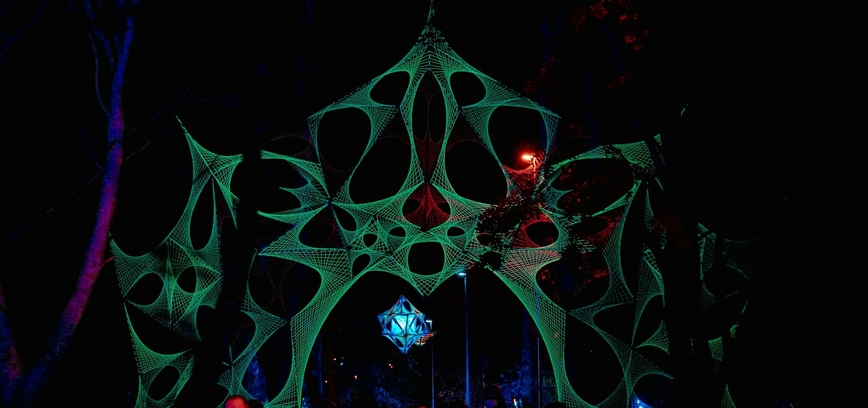  Meninės vizijos projektas „Magiškas parkas“. „Šiaulių dienos 785“ 