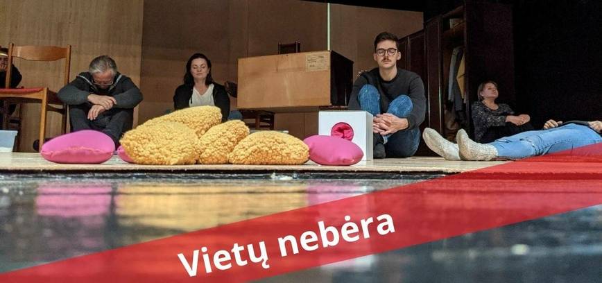  Susitikimas-seminaras „Kaip į kultūros įstaigą pakviesti autistiškus žiūrovus / lankytojus?“ 