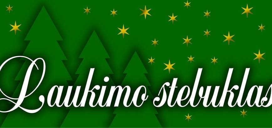 Kalėdinės muzikos valanda „Laukimo stebuklas“