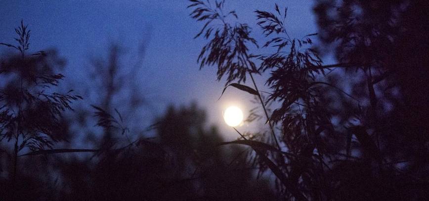 EKSKURSIJA „JUODAI BALTOS / BALTAI JUODOS ŠIAULIŲ ISTORIJOS SUTEMUS...“