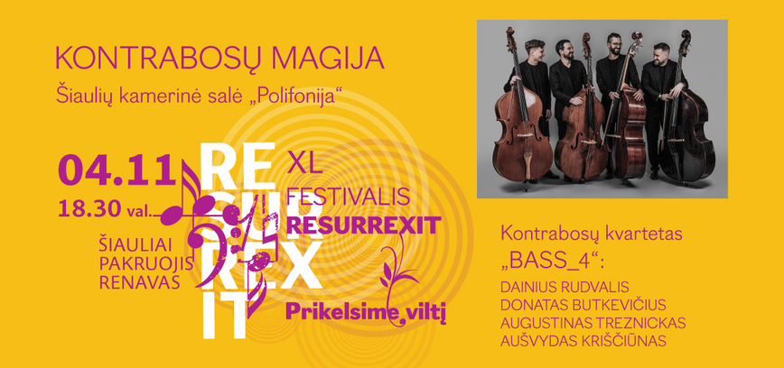 THE MAGIC OF DOUBLE BASSES