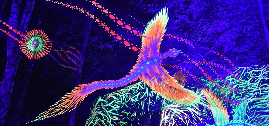  Meninės vizijos projektas „Magiškas parkas“. „Šiaulių dienos 786“ 