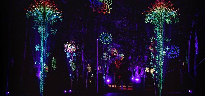 Meninės vizijos festivalis „Magiškas parkas“ 