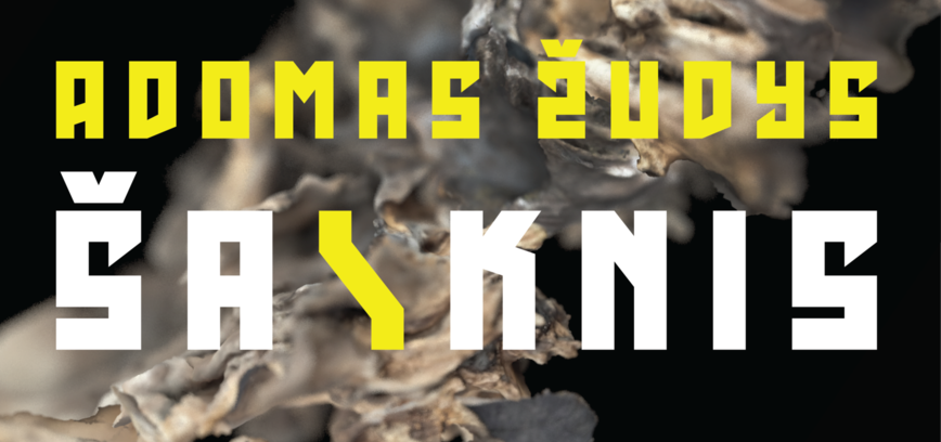 ADOMO ŽUDŽIO PARODA „ŠA\KNIS“ 