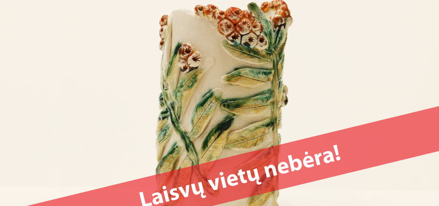  Edukacija suaugusiesiems „Šermukšninė“ 