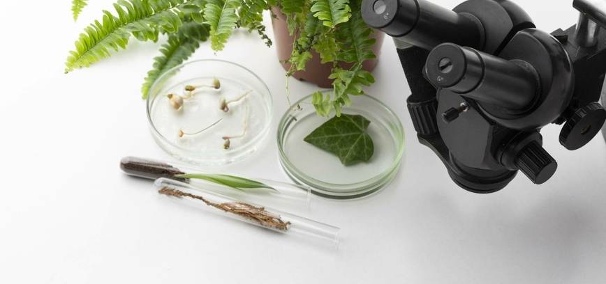 Asociacijos „Gyvo Žalio“ paskaita „Biomimikrija ir gamtos įkvėpti sprendimai“