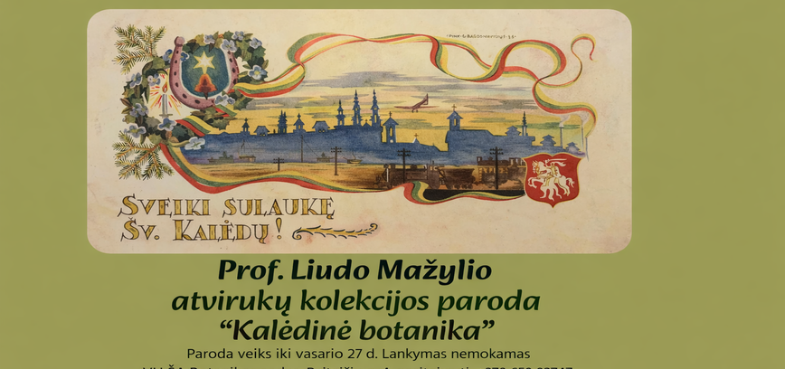 Prof. Liudo Mažylio atvirukų kolekcijos paroda  “Kalėdinė botanika” 