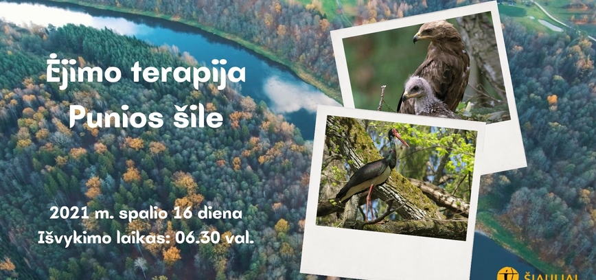 ĖJIMO TERAPIJA PUNIOS ŠILE