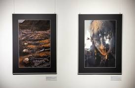  Algimanto Aleksandravičiaus fotografijų paroda „Rūstaujančio dievo metais. Apokalipsė“ 