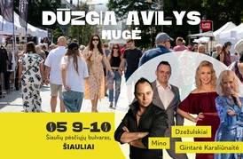 MUGĖ DŪZGIA AVILYS
