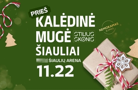 Prieškalėdinė mugė „Stilius ir Skonis”