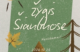 Žygis Šiauliuose