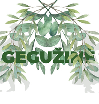  Gegužinė 