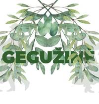  Dance and song evening ''Gegužinė'' 