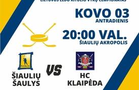 Lietuvos ledo ritulio vyrų čempionato rungtynės