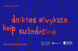 Danutės Vaitekūnaitės paroda „daiktas atvyksta kaip sužadėtinė“