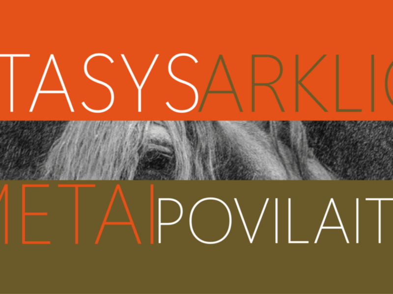 STASIO POVILAIČIO FOTOGRAFIJŲ PARODA „ARKLIO METAI“