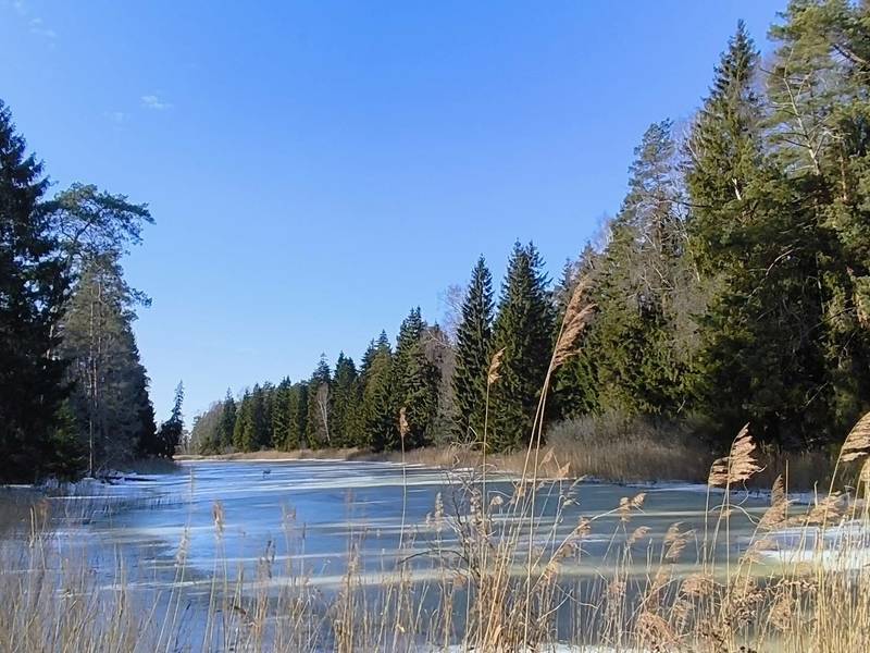 EKSKURSIJA-ŽYGIS „ŠVITINAM NUO PAŠVINIO“