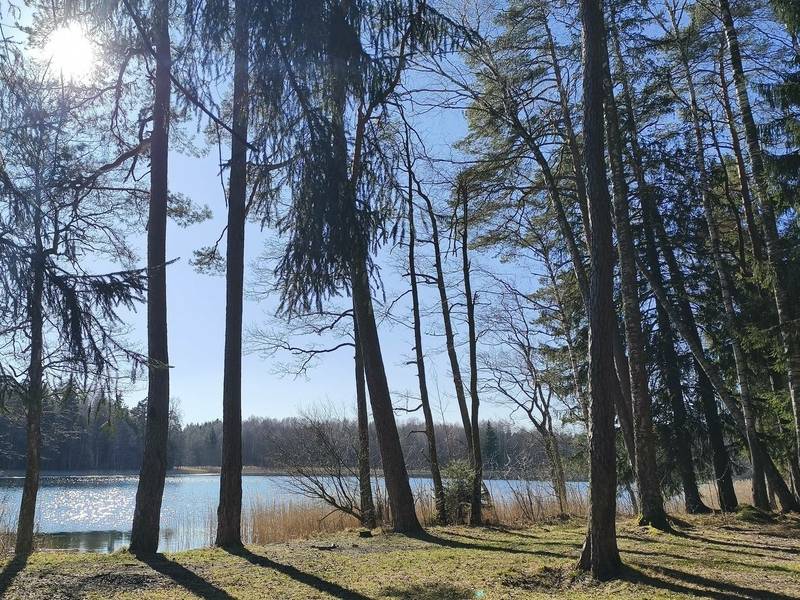 EKSKURSIJA-ŽYGIS „NUO BIJOTĖS IKI DUBYSOS“