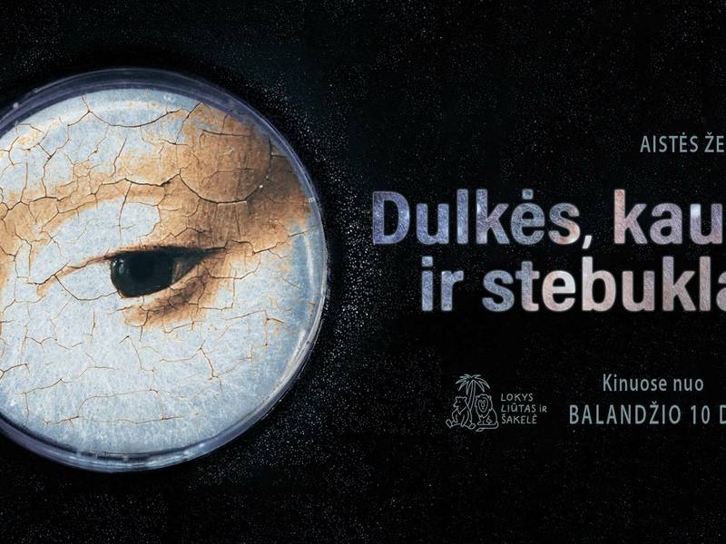 Filmo „Dulkės, kaulai ir stebuklai“ peržiūra bei susitikimas su kūrybine komanda