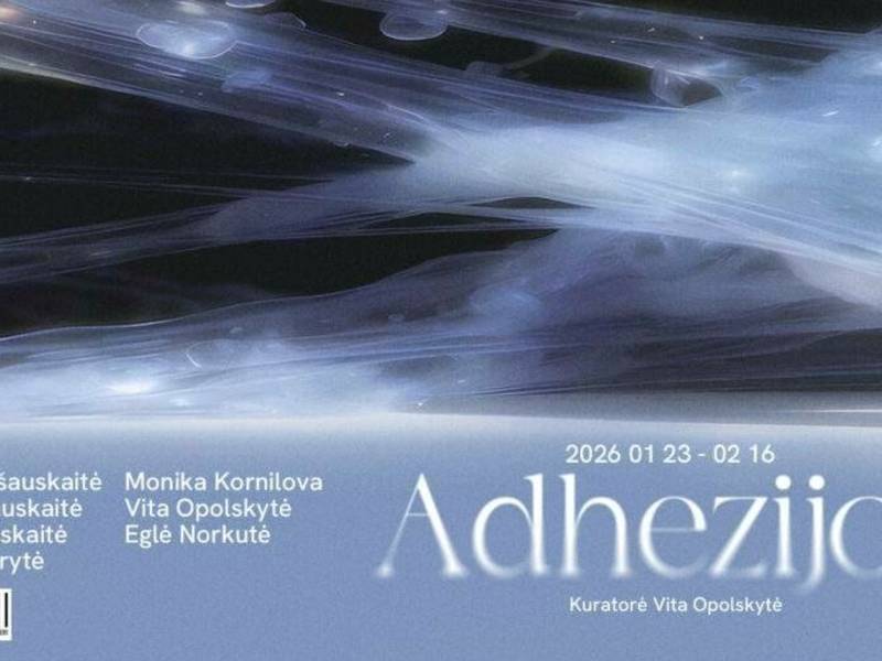 TEMINĖ TAPYBOS PARODA „ADHEZIJOS“