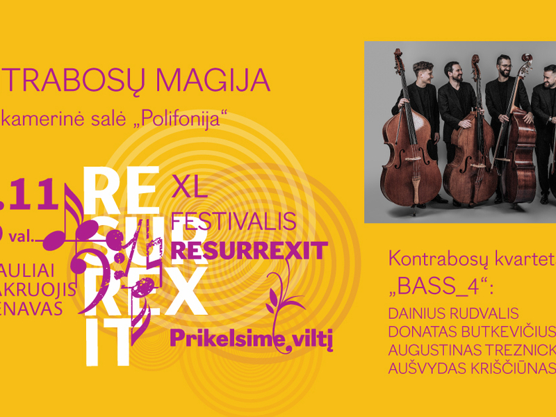 THE MAGIC OF DOUBLE BASSES