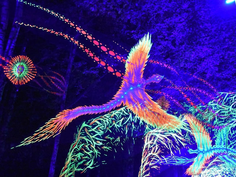  Meninės vizijos projektas „Magiškas parkas“. „Šiaulių dienos 786“ 