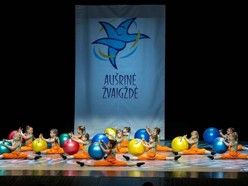  XIX tarptautinio šokio festivalio-konkurso „Aušrinė žvaigždė“ atidarymas 