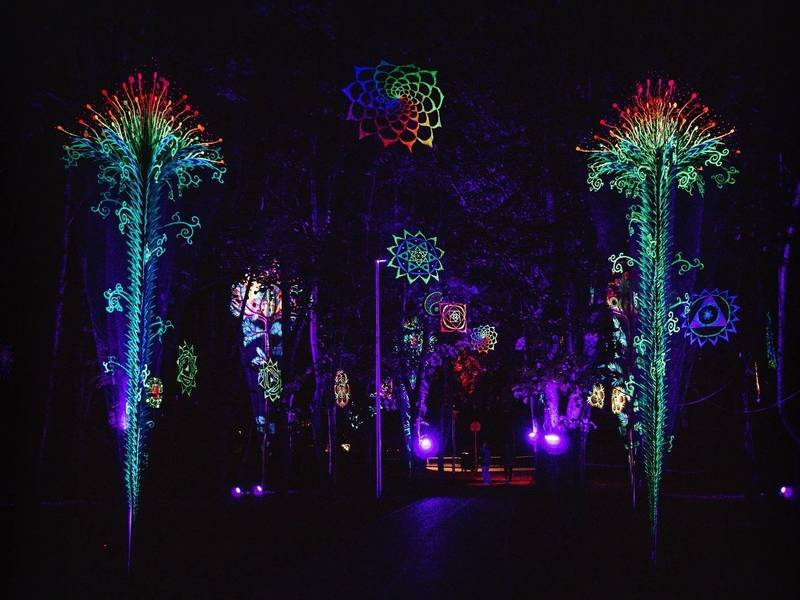  Meninės vizijos festivalis „Magiškas parkas“ 