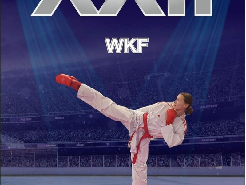 BALTIJOS ŠALIŲ ATVIRAS KARATĖ ČEMPIONATAS