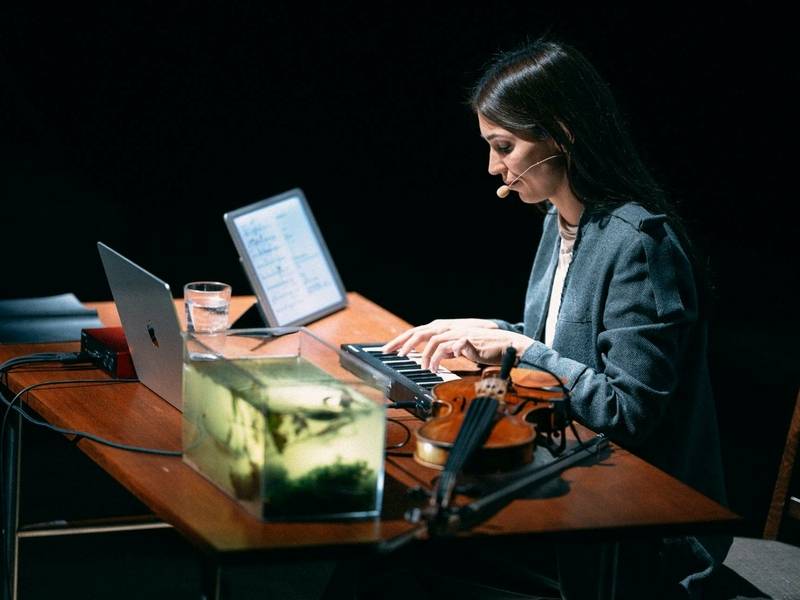 LONGING. Jaunimo muzikos festivalis "Šiauliai gyvai"